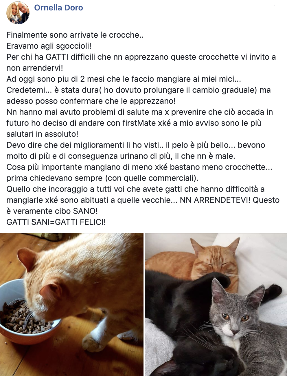 testimonianza_gatto_34