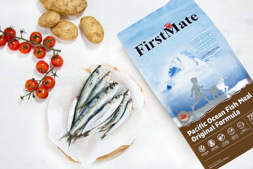 FirstMate crocchette per cane con pesce azzurro pescato